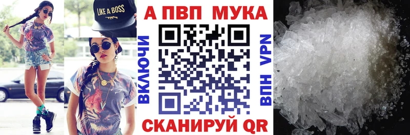 блэк спрут ссылка Вилючинск A PVP крисы CK