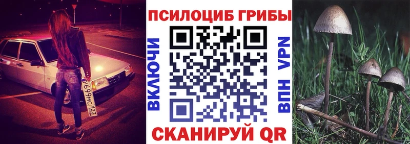 Галлюциногенные грибы Cubensis  Вилючинск 